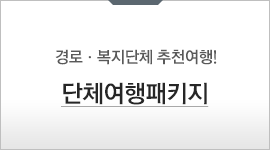 단체여행패키지