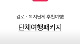 단체여행패키지